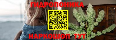 мяу мяу мука Канаш