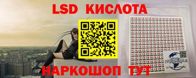 мяу мяу мука Канаш
