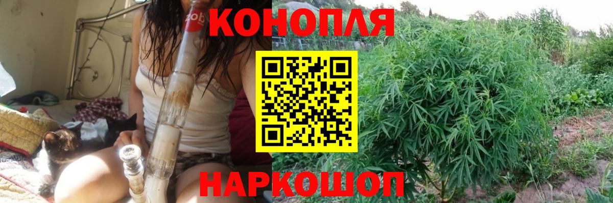 Бошки Шишки MAZAR Комсомольск-на-Амуре